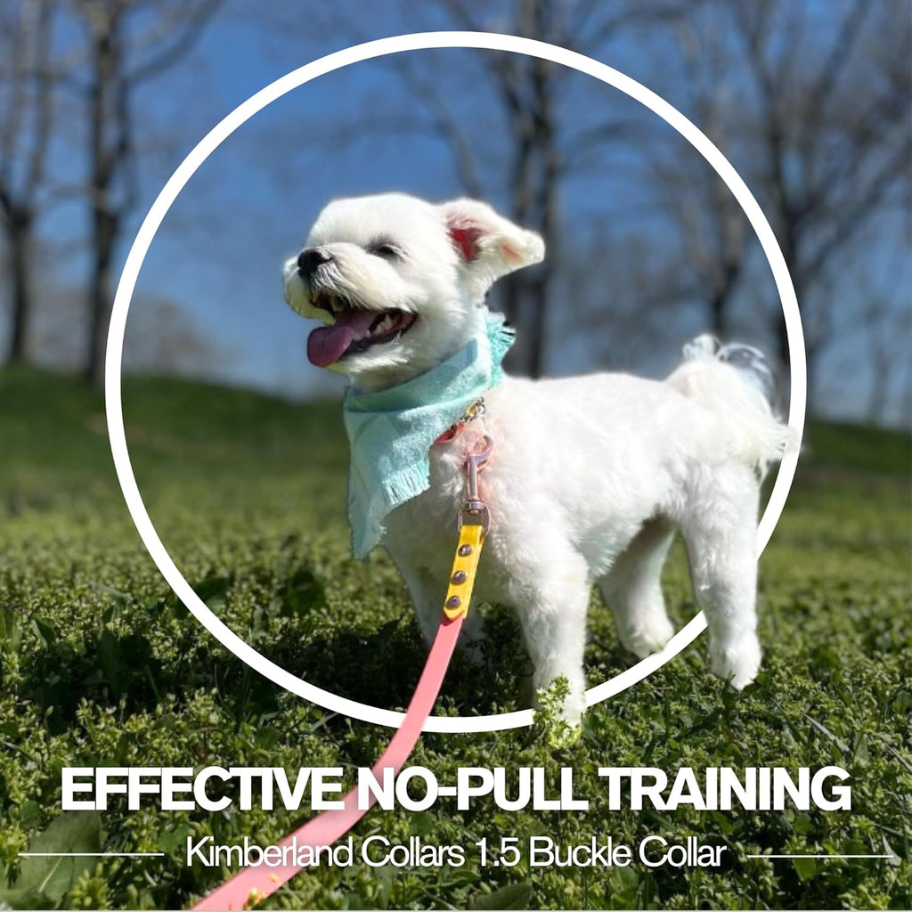 Shock Collar Prong Collar For Small Dogs Top Paw® No-Pull Prong