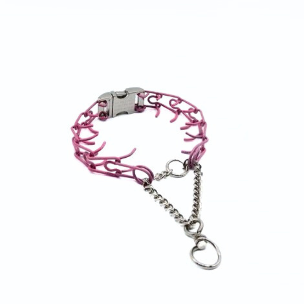 BUCKLE SERIES FUN COLORFUL PRONG COLLARS Kimberland Collars