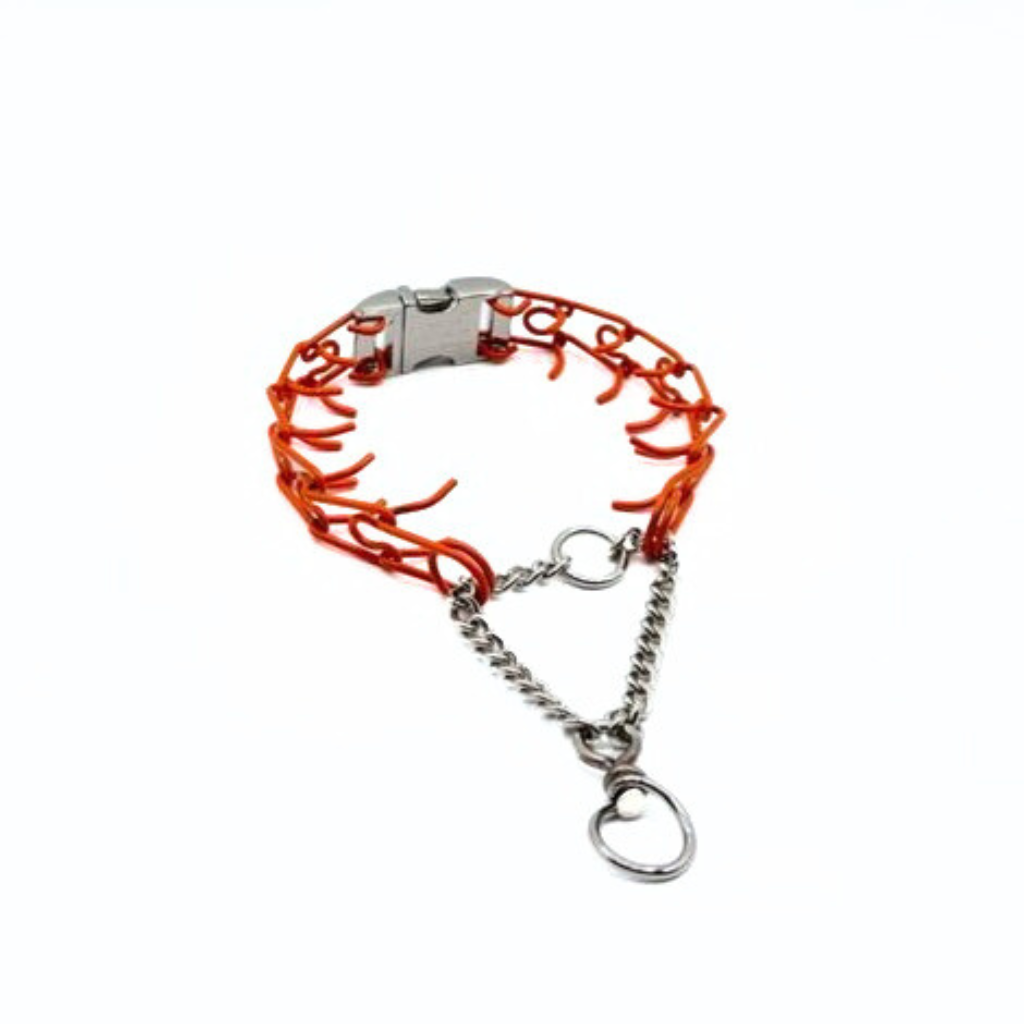 Pinch collar with buckle hot sale