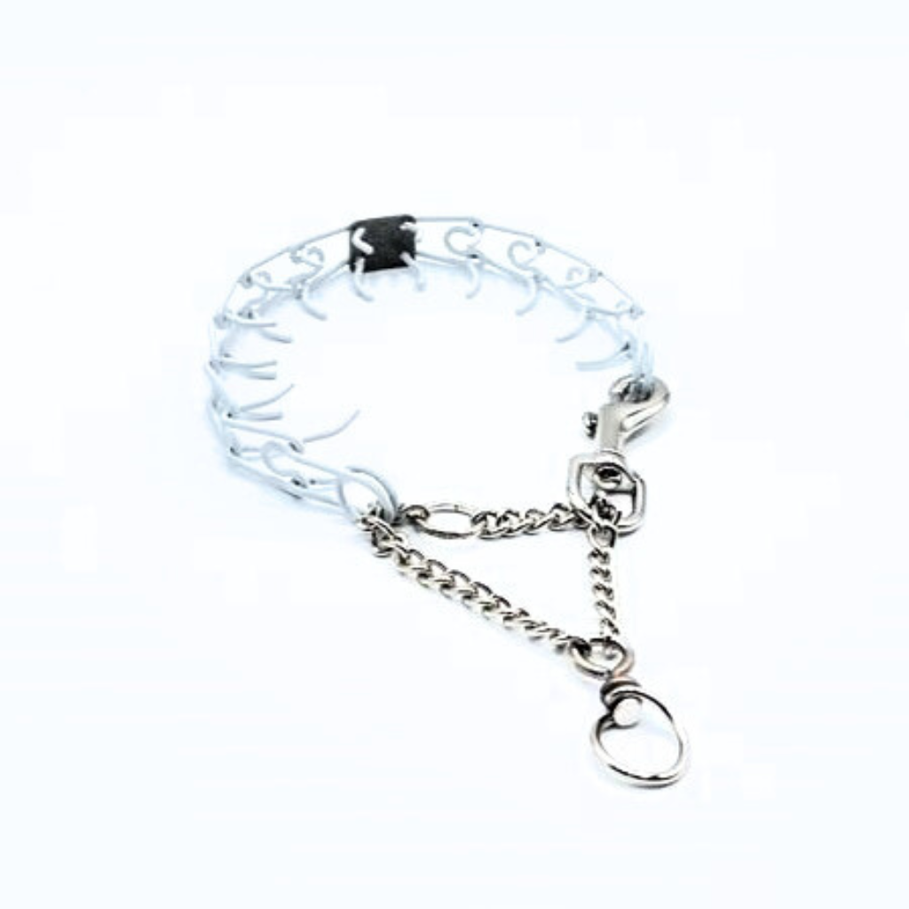 Prong dog collar petsmart outlet