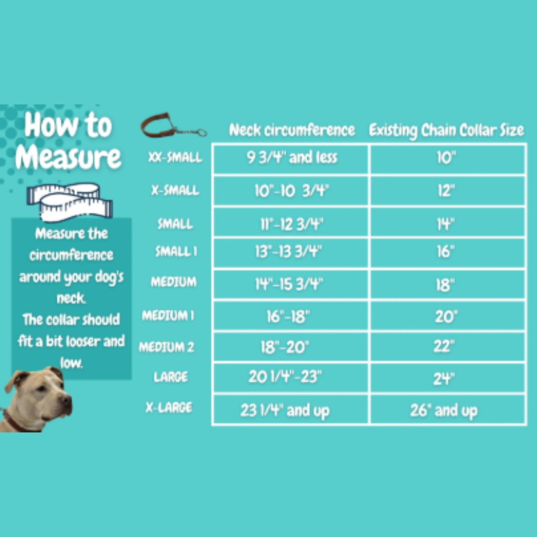 Joel Silverman - Alternative Training Collar - Gentle No-Pull Dog