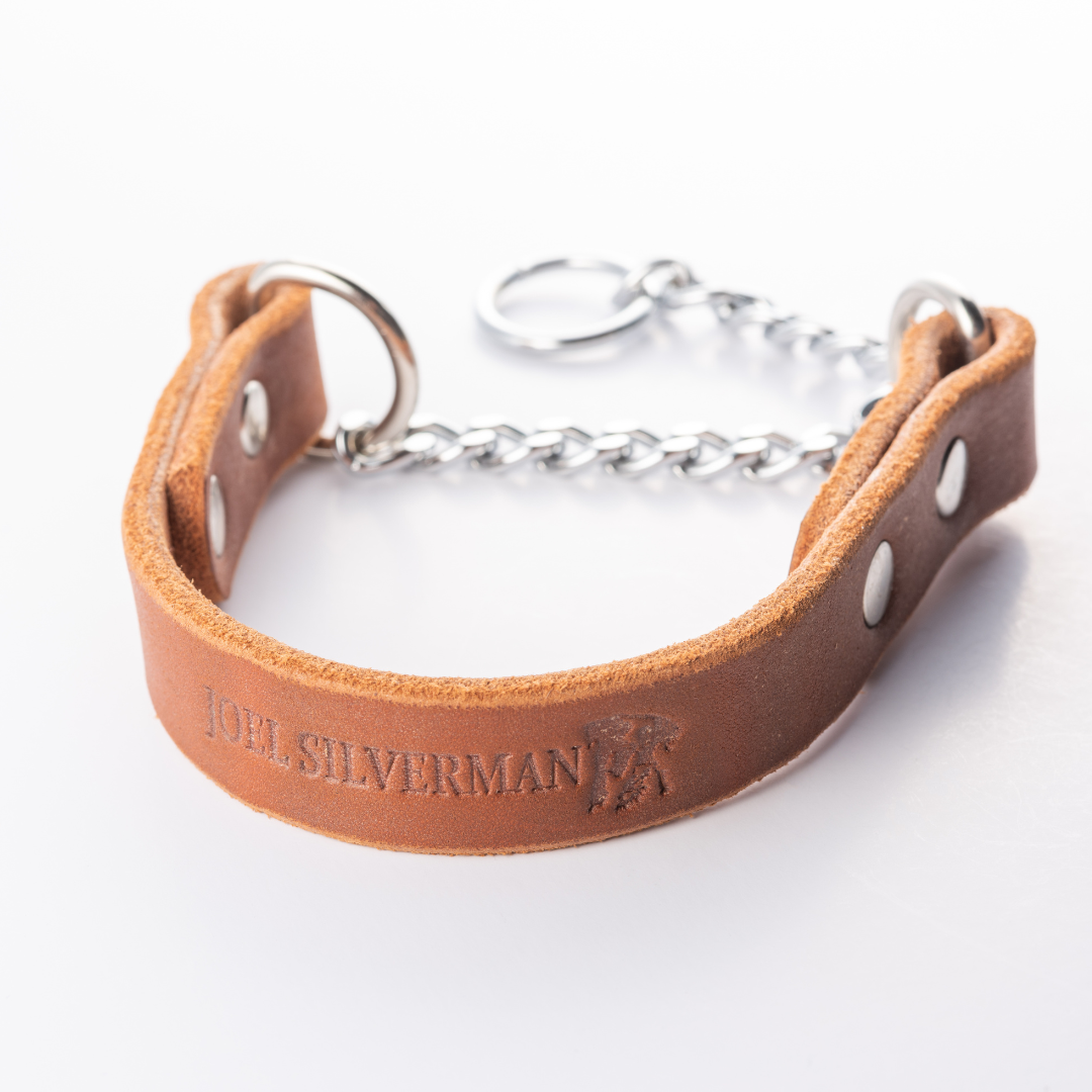 Joel Silverman - Alternative Training Collar - Gentle No-Pull Dog
