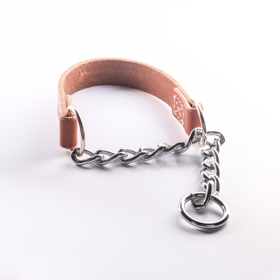 Joel Silverman - Alternative Training Collar - Gentle No-Pull Dog